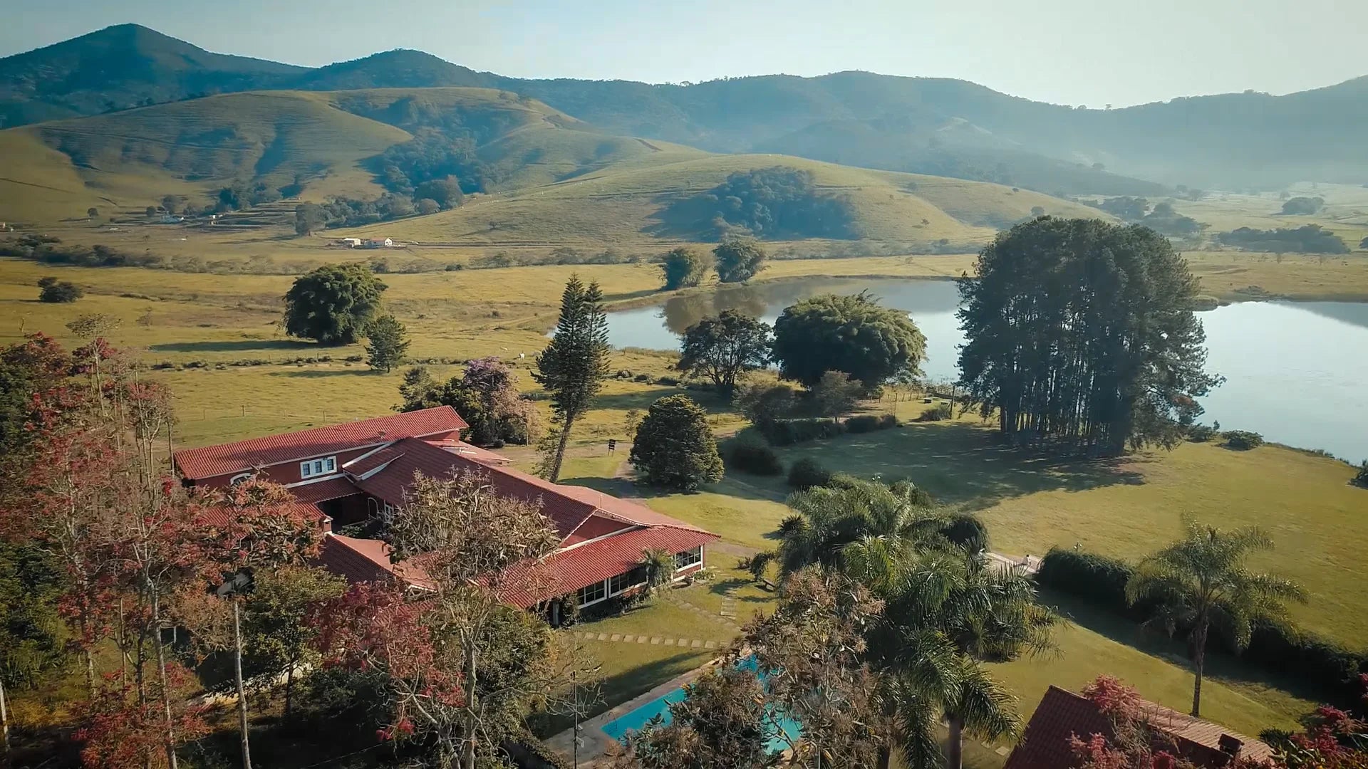 BRAZIL- Fazenda Pinhal-thumbmail-3